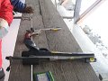 IMG_0308