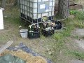 IMG_1504