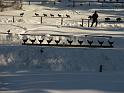 IMG_1523_p